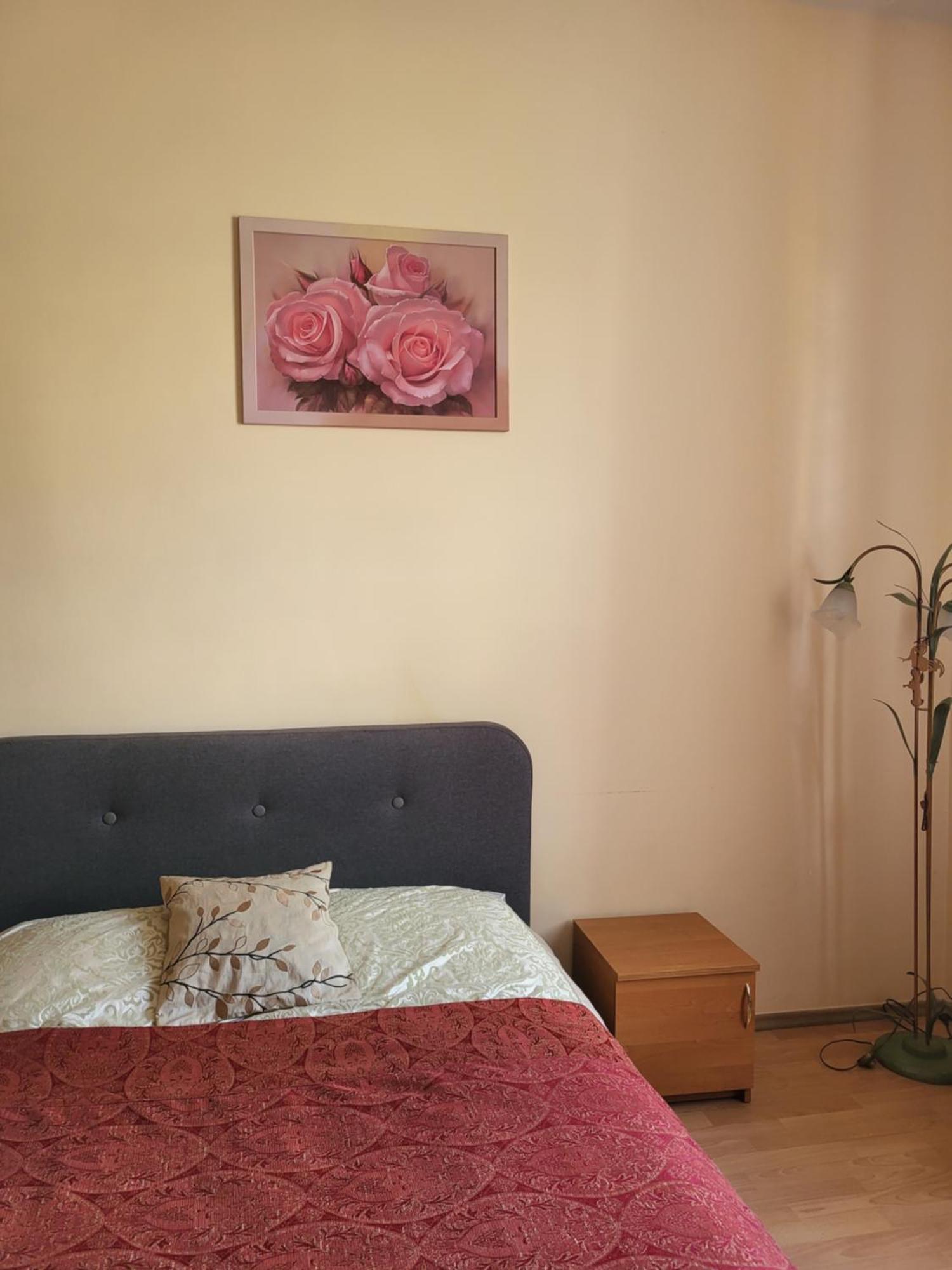 Apartment Near St. Elizabeth Church Leopoli Esterno foto